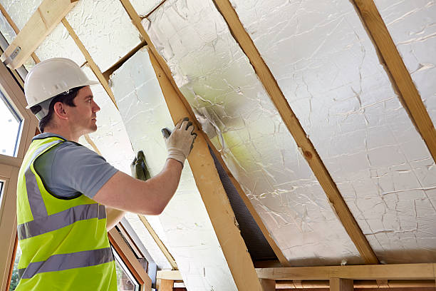 Best Geographic-Specific Insulation Services in Sheridan, IN